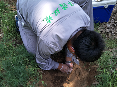 土壤治理修復技術(shù)哪種方法適合咱們土地