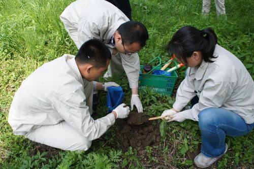 重金屬污染土壤修復策略之生物修復技術(shù)