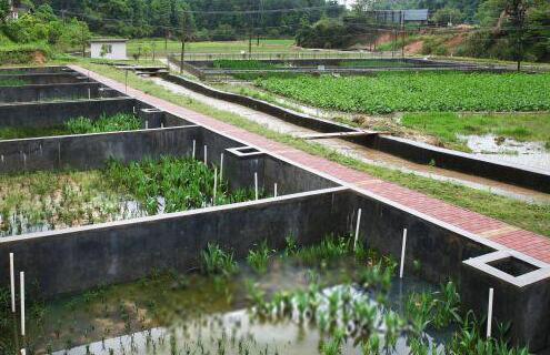 農村生活污水治理——穩定塘處理技術(shù)