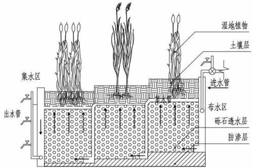 人工濕地的兩種構造類(lèi)型