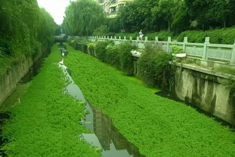 關(guān)于治理河道臭水的幾個(gè)誤區